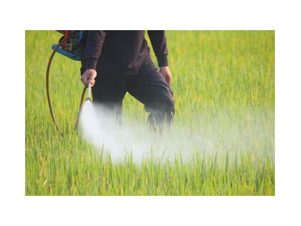 農藥劑型有哪幾種呢？