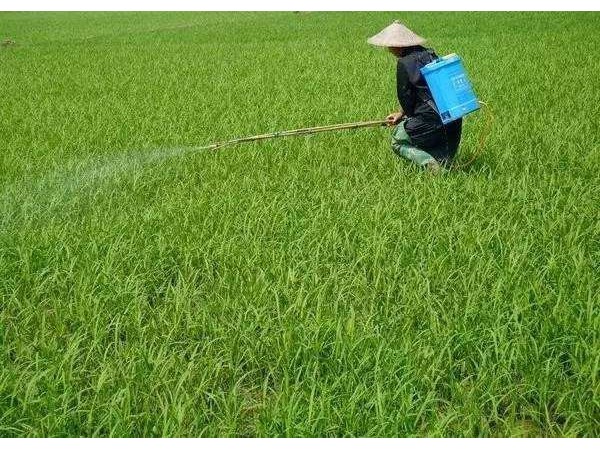 納米研磨老司机福利免费视频農藥新劑型產品